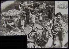 VINTAGE Magic Lantern Slide