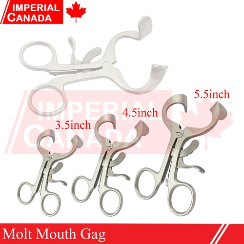 Pezzi molt bocca gag 5 - 3,