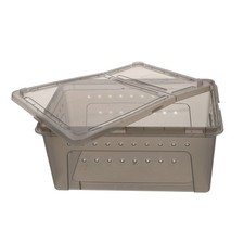  Teca Per Rettili Terrario