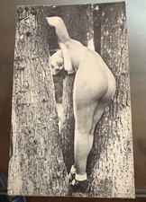 Cartolina Foto Franzl bolzano