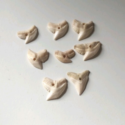Dente squalo set 8 pezzi - di,
