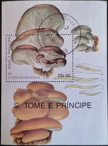 Santo tomé 1990 - -, hb
