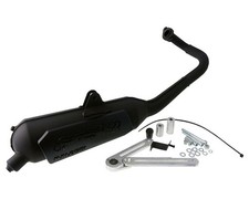 Scarico MALOSSI Wild Lion