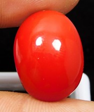 Cabochon corallo naturale 36,65 ct rosso italiano taglio ovale pietra preziosa sfusa