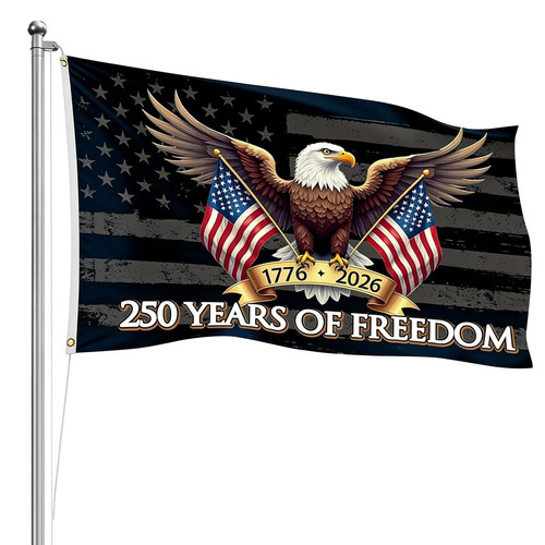 Bandiera america 250 - bandiera, 250,