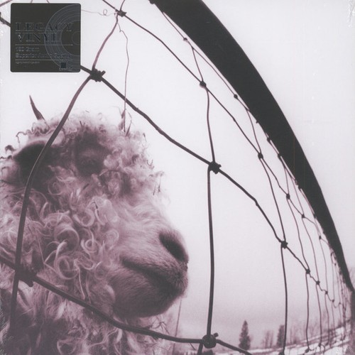 Pearl jam mint - jam, vs.