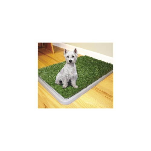 Dog toilette cani potty patch - dog,