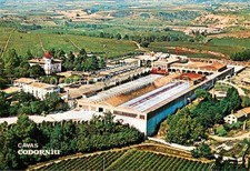 Cavas Codorniu ES ripresa