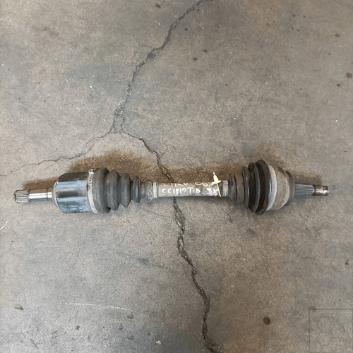 51792056 semialbero ant - semialbero,