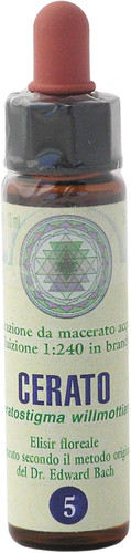 Cerato princeps fiori di - princeps,