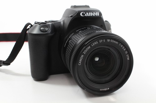 Canon eos 250d 55mm - is, stm