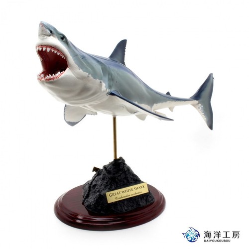 Grande figura squalo bianco - figura,