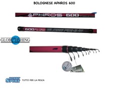Canna bolognese aphros - canna,