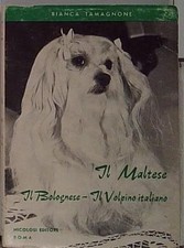 Tamagnone bianca IL MALTESE -