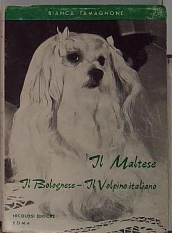 Tamagnone bianca maltese - tamagnone, il