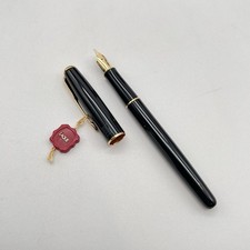 Penna stilografica Parker