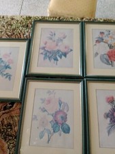 N5 Stampe A Soggetto Floreale Con Belle Cornici Verde