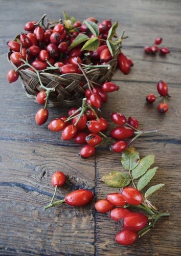 Marmellata frutta spalmabile - frutta,