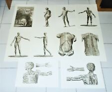 Folder 10 tavole stampe ICONES