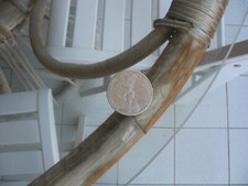 MONETA JUANITO CAMPIONATO