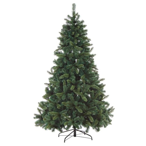 Albero bellamonte bizzotto - albero,