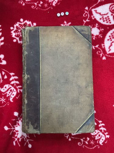 Rare 1880 illustrated - 1880,