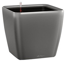 (TG. 35 cm) Lechuza Set