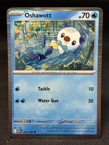 Oshawott - , collection)