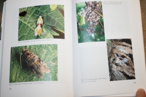 Libro tecnico viticoltura