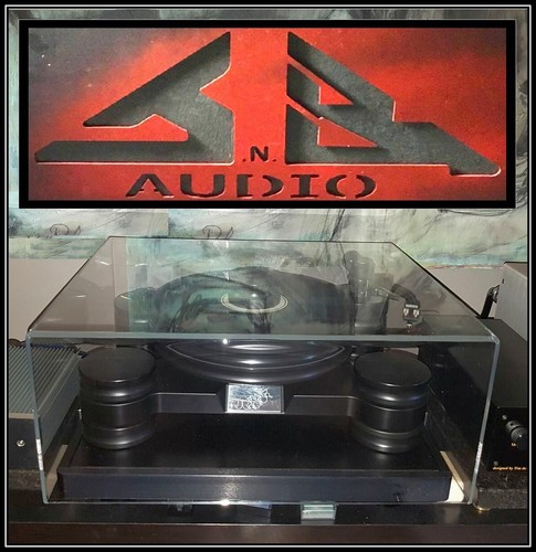 Copripolvere giradischi audio