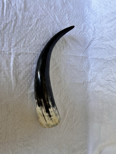 Corno bue svuotato - corno,