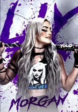 POSTER WWE GIGANTE 24”x36”