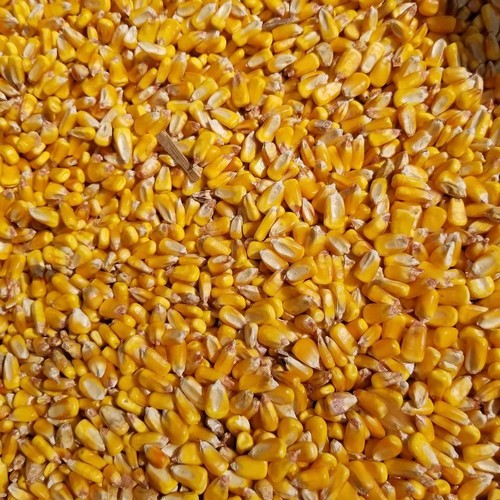 Sacchetti buco mais cervo