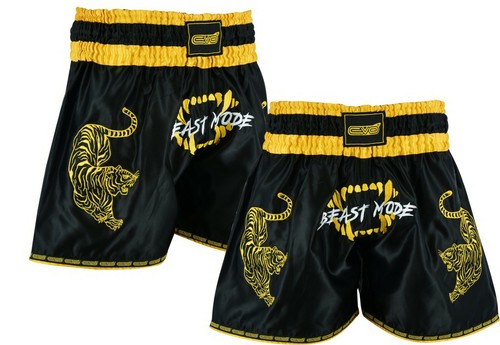 Evo muay thai cage fight - muay,