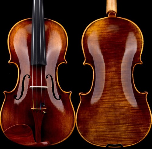 T31 master violino antico - t31+,