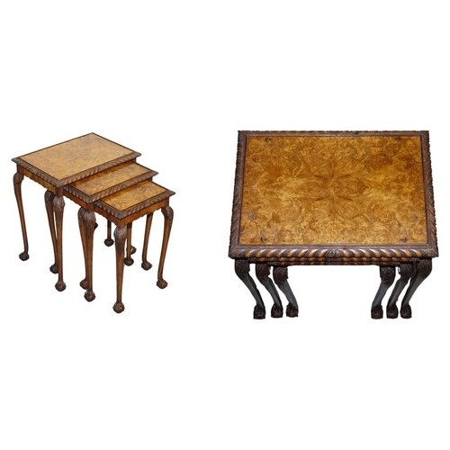 Splendido nido noce burr - splendido, di