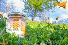 Miele Millefiori di ape nera