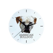 Bulldog americano orologio