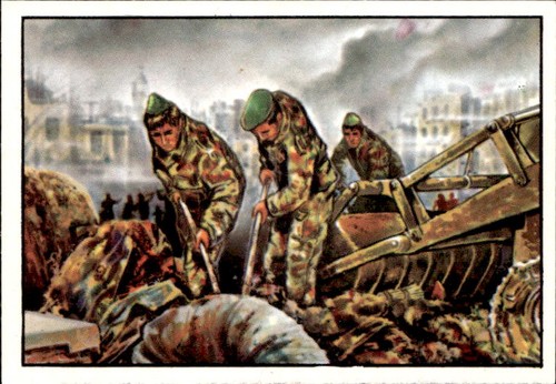 Figurina italia patria nostra - figurina,