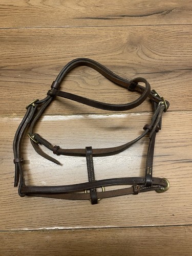 Mini shetland puledro - mini, senza
