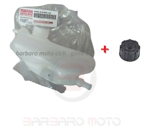 Vaschetta liquido radiatore - liquido, +