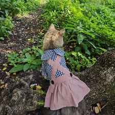Vestito per gatto cane - per,