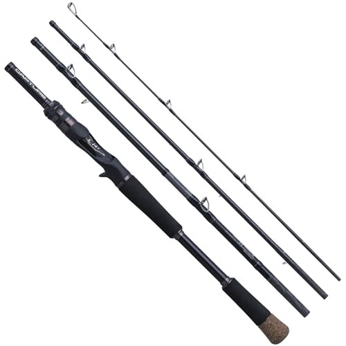 Canna spinning viaggio - canna, da