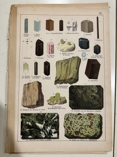 Stampa antica incisione - , 1888