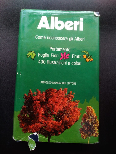 Alberi come riconoscere gli - -,