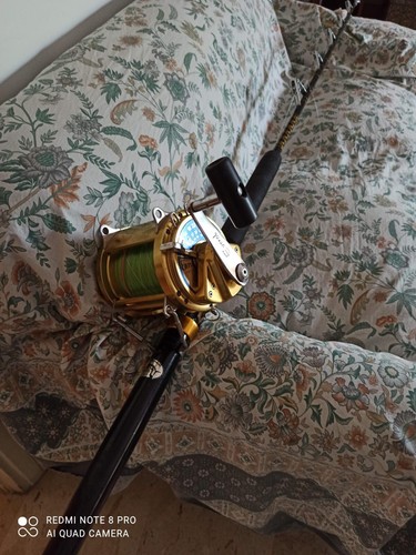 Canna pesca tonno - al, normic