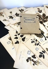 Antico erbario degli anni 30