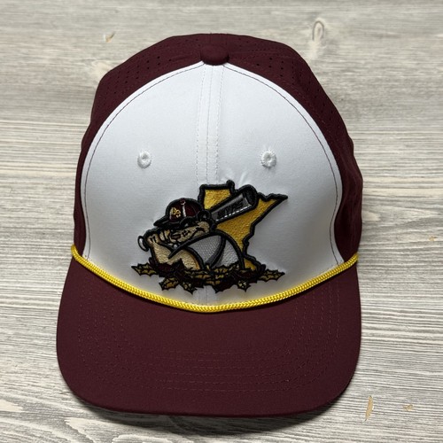 Cappello baseball minnesota - cappello,