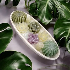 Candela Tropical Blush