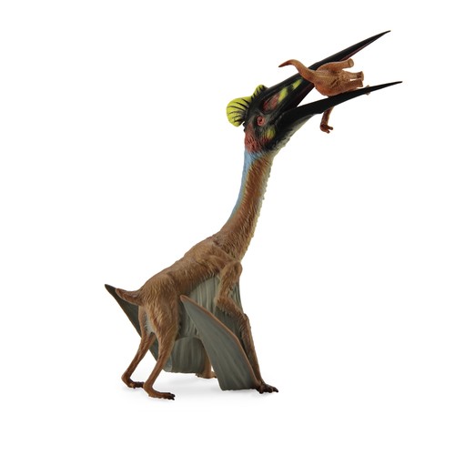 Collecta quetzalcoatlus con - collecta,